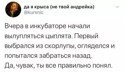 Смешная картинка №730852 Понял всё 