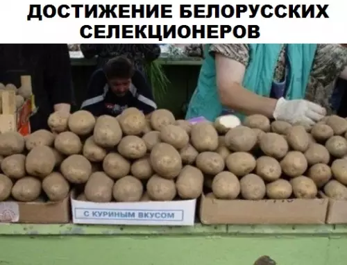 Смешная картинка №311364