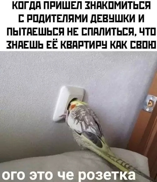 Смешная картинка №565623
