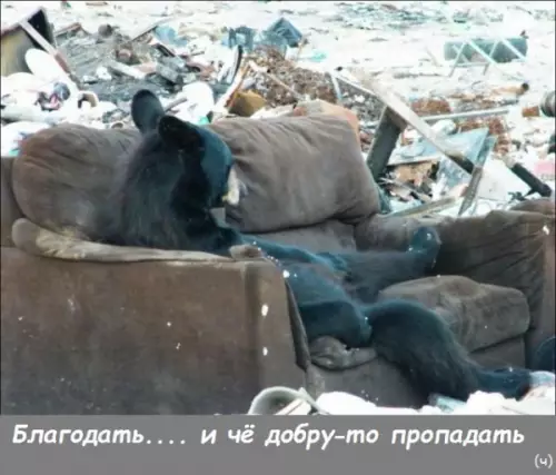 Смешная картинка №269471