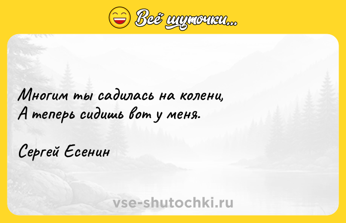 Цитата: Многим ты садилась на колени, А теперь сидишь вот у меня. Сергей Есенин