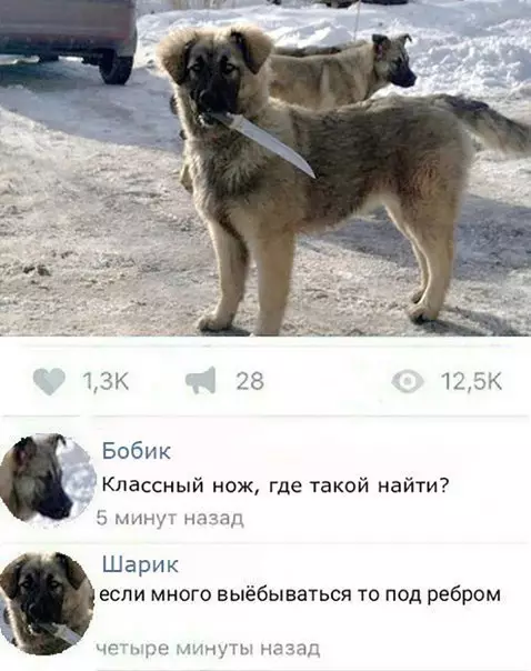 Смешная картинка №264803