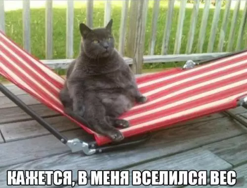 Смешная картинка №217659