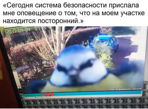 Смешная картинка №182215