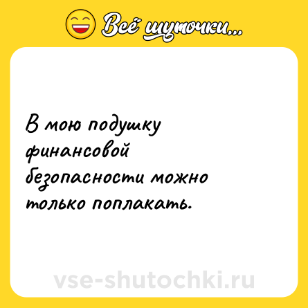 Шутка: В мою подушку финансовой безопасности можно только поплакать.