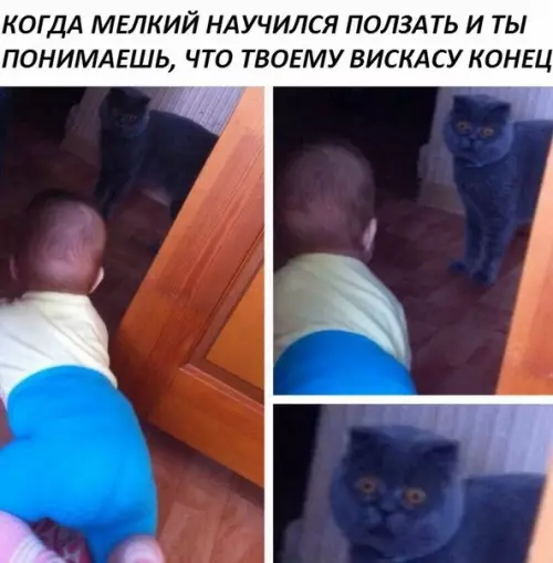 Смешная картинка №180955