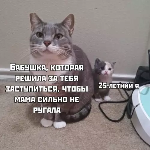 Смешная картинка №409207