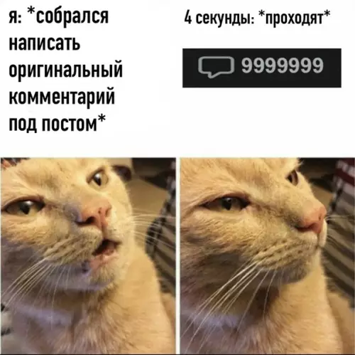 Смешная картинка №491845