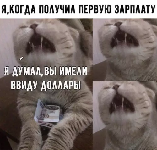 Смешная картинка №233023