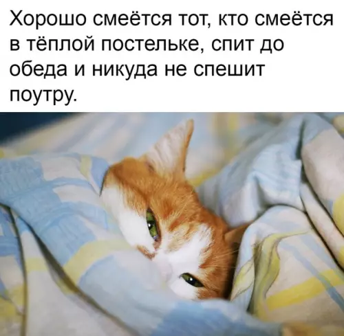 Смешная картинка №332424