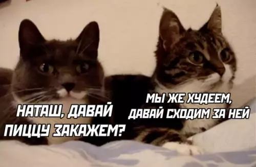 Смешная картинка №506069