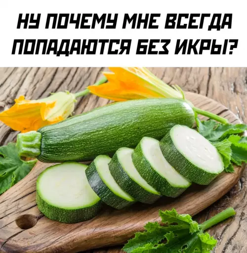 Смешная картинка №709650 кабачки
