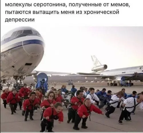 Мемы против депрессии: битва за выживание ✈️ - молекулы серотонина, полученные от мемов, пытаются вытащить меня из хронической