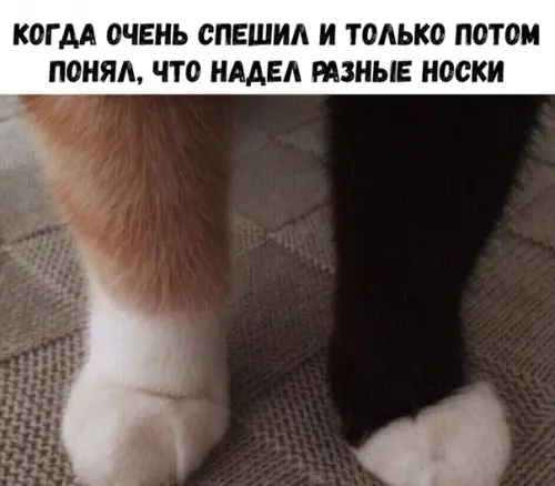 Смешная картинка №326446