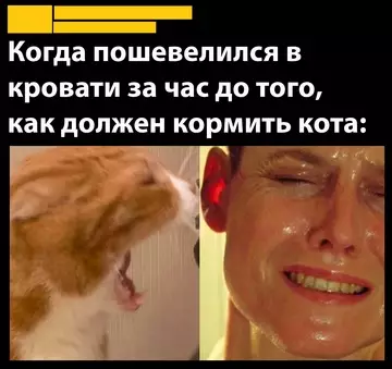 Смешная картинка №743539 Вставай, кожаный 