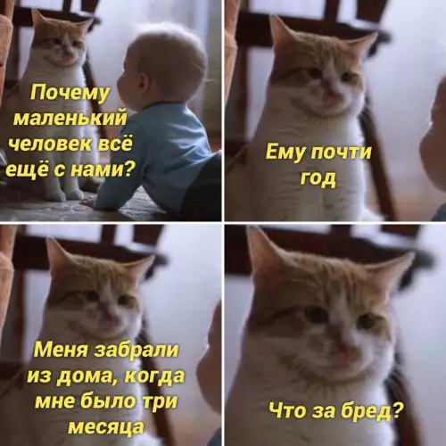 Смешная картинка №662436