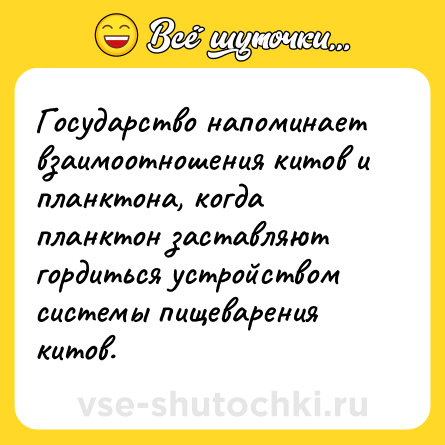 Шутка: Государство напоминает взаимоотношения китов и планктона, когда планктон заставляют гордиться устройством системы пищеварения китов.