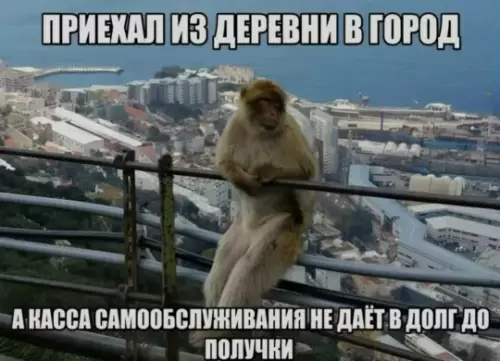 Смешная картинка №803464