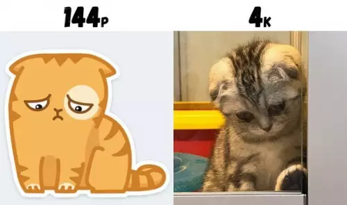 Смешная картинка №278054