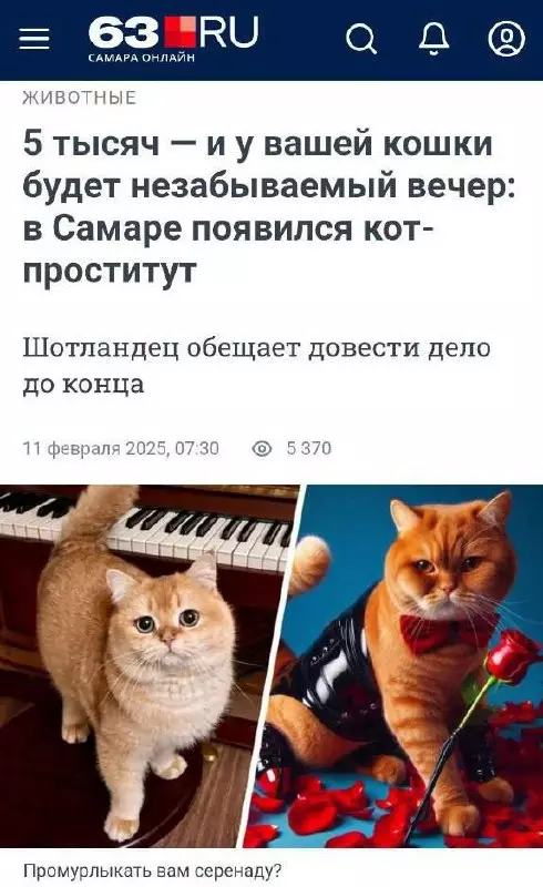 Смешная картинка №754057