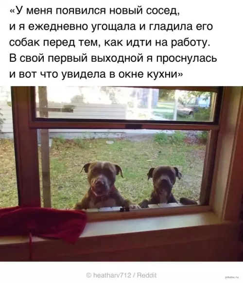 Смешная картинка №647660