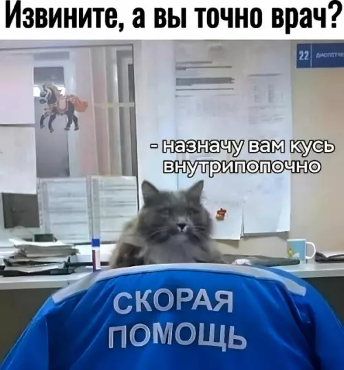 Смешная картинка №734395