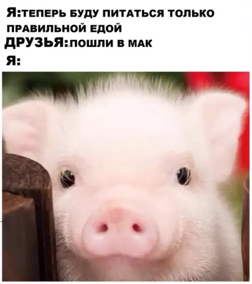 Смешная картинка №283738