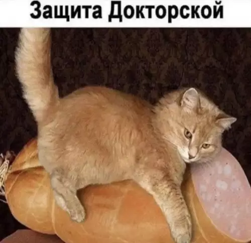 Смешная картинка №746486 Защита докторской 