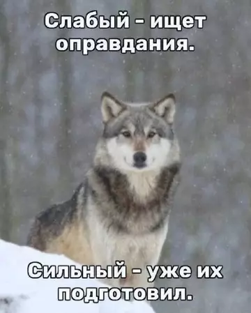 Смешная картинка №739094