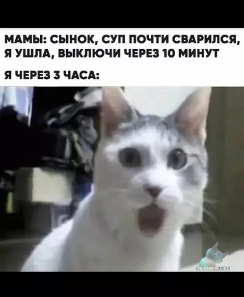 Смешная картинка №364605