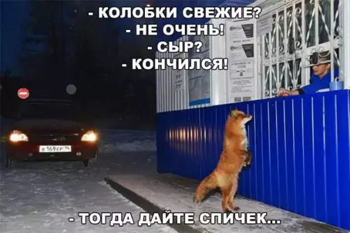Смешная картинка №228782