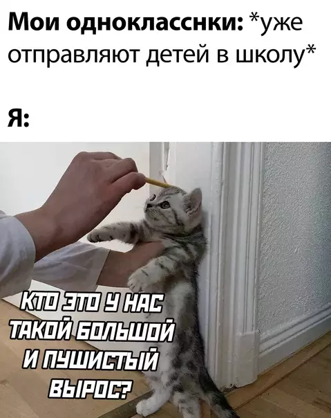 Смешная картинка №600325