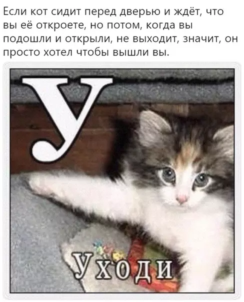 Смешная картинка №318522 Тайна раскрыта.