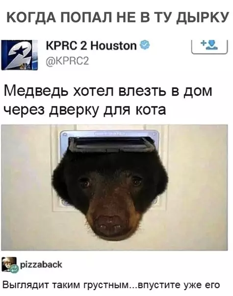 Смешная картинка №303658