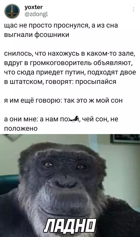 Смешная картинка №683808