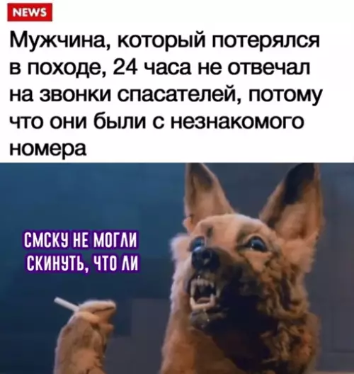Смешная картинка №648124