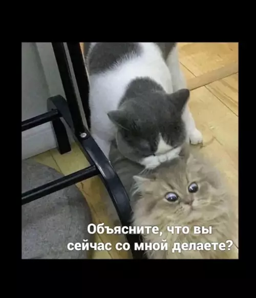Смешная картинка №637419 Самый странный ухожор!