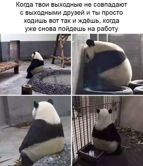 Смешная картинка №369240