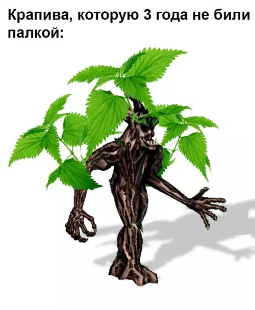 Смешная картинка №782546