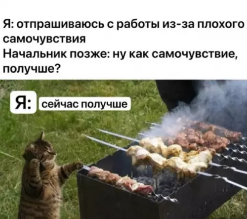 Когда план по выживанию сработал на все 100! 😂🔥 - Я: отпрашиваюсь с работы из-за плохого самочувствия Начальник позже: ну