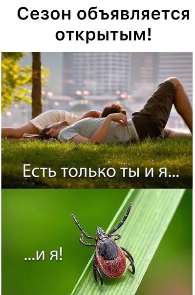 Смешная картинка №574830