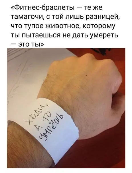 Смешная картинка №537916 Тамагочи для взрослых