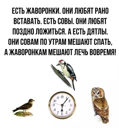 Смешная картинка №490282 Очень жизненно