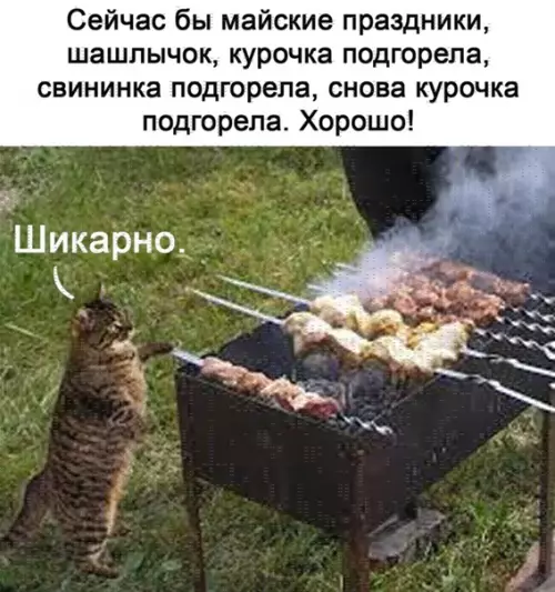 Смешная картинка №550811 Шикapнo
