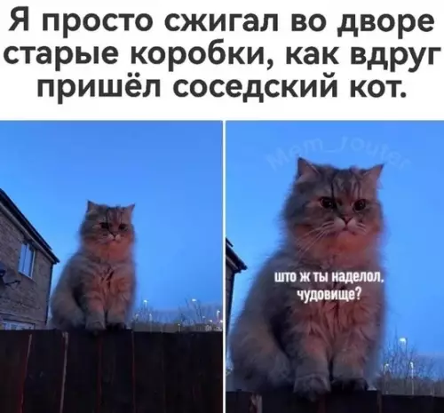 Смешная картинка №737506