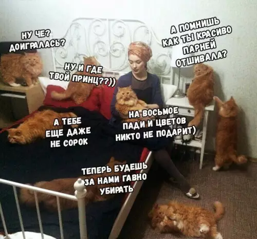 Смешная картинка №255648
