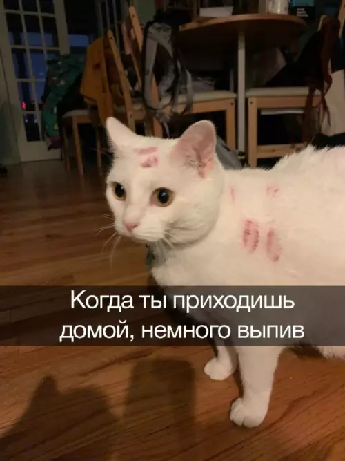 Смешная картинка №673791