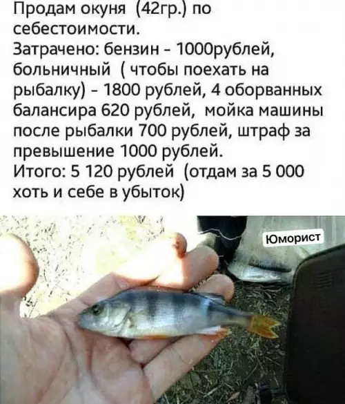 Смешная картинка №747650 Улов рыбалка