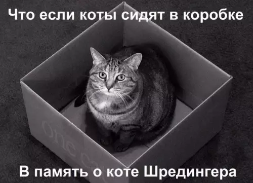 Смешная картинка №231064
