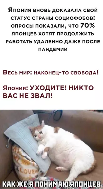 Смешная картинка №502467